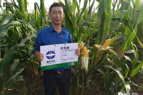 极喷液体缓释复合肥——山东莱阳篇