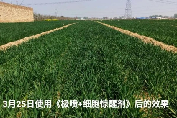 倒春寒突袭，看看他们都在干什么？