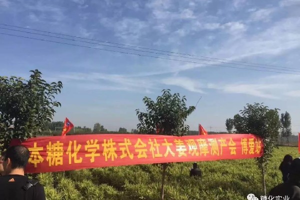 糖化实业2018年营销活动——河南焦作篇