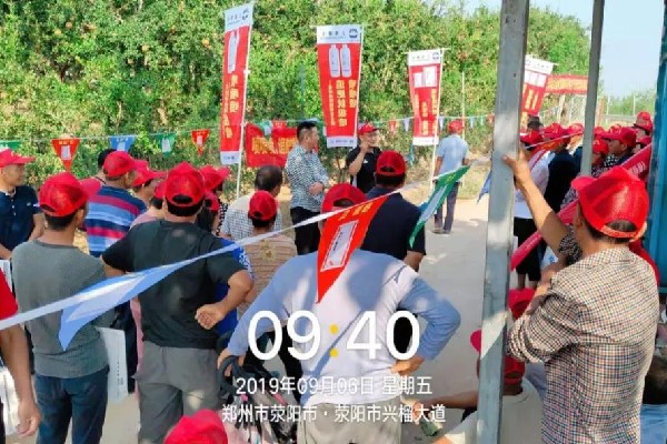 先行先试，抢占市场——河南·荥阳极喷石榴观摩喷享会