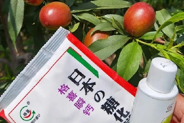 油桃提早上市，糖化套餐来助力！