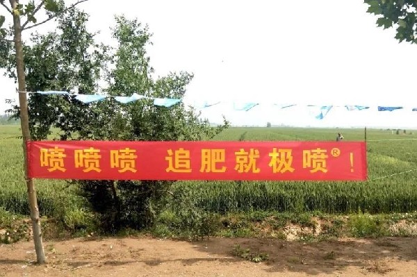 山东德州小麦增产新捷报，黄金搭档就是好！