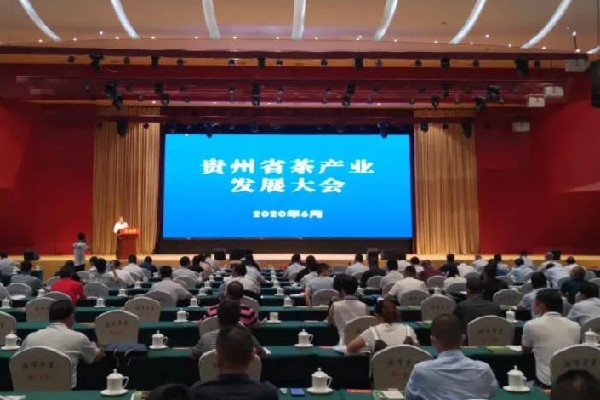 贵州省茶产业发展大会，现场观摩极喷®追肥示范点